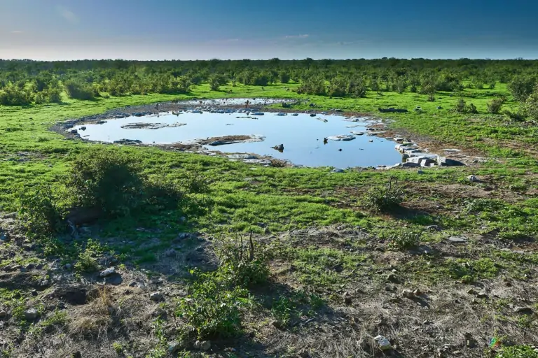 Halali lors d'un safari à Etosha en Namibie