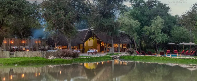 Onguma Forest Camp lors d'un safari à Etosha en Namibie