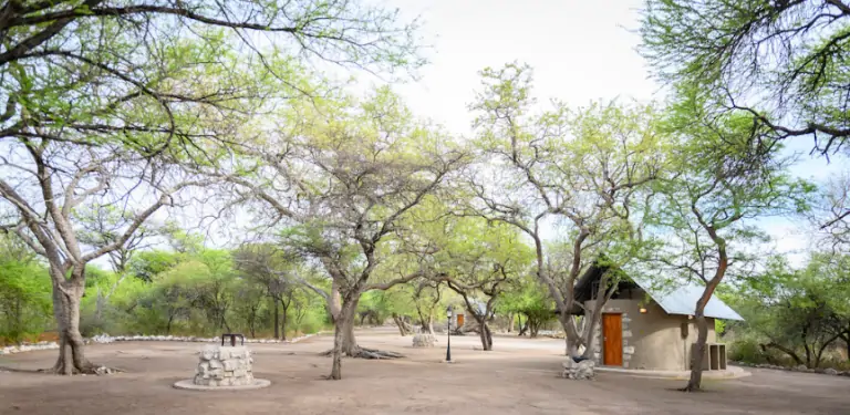 Onguma Leadwood camping lors d'un safari à Etosha en Namibie