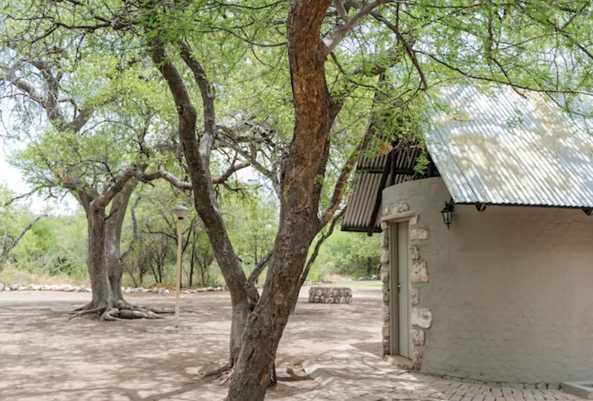 Onguma Leadwood camping lors d'un safari à Etosha en Namibie