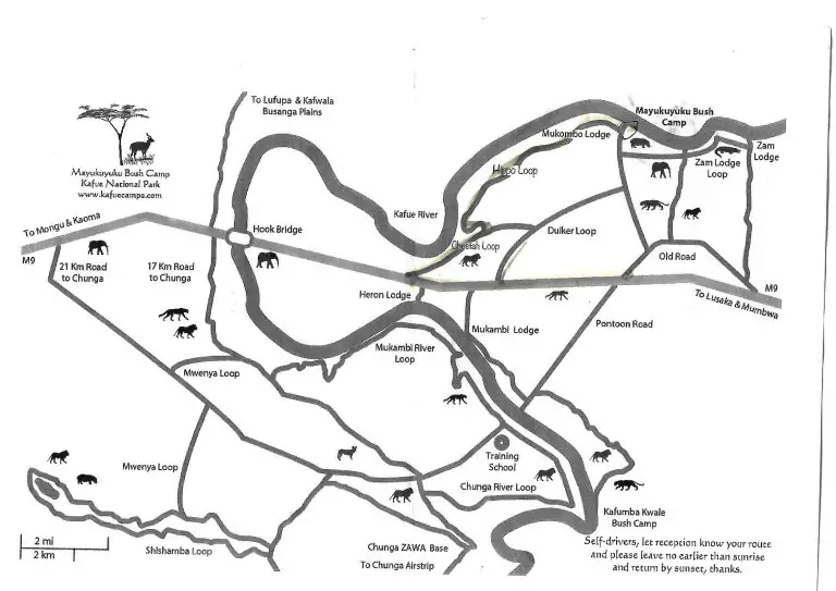 Carte de Mayukuyuku lors d'un safari dans le parc national Kafue en Zambie