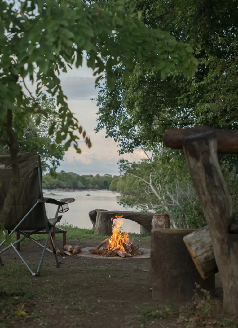 Kasabushi lors d'un safari dans le parc national South Luangwa en Zambie