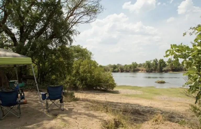 Mayukuyuku lors d'un safari dans le parc national South Luangwa en Zambie