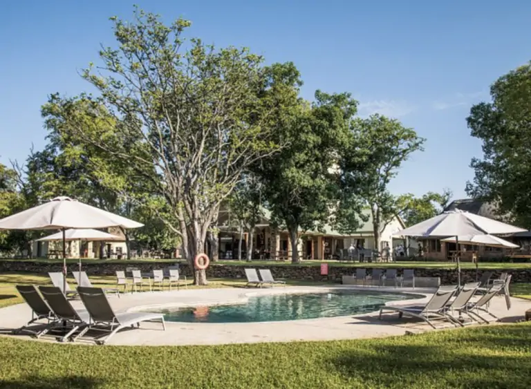 Robin's Camp lors d'un safari à Hwange au Zimbabwe