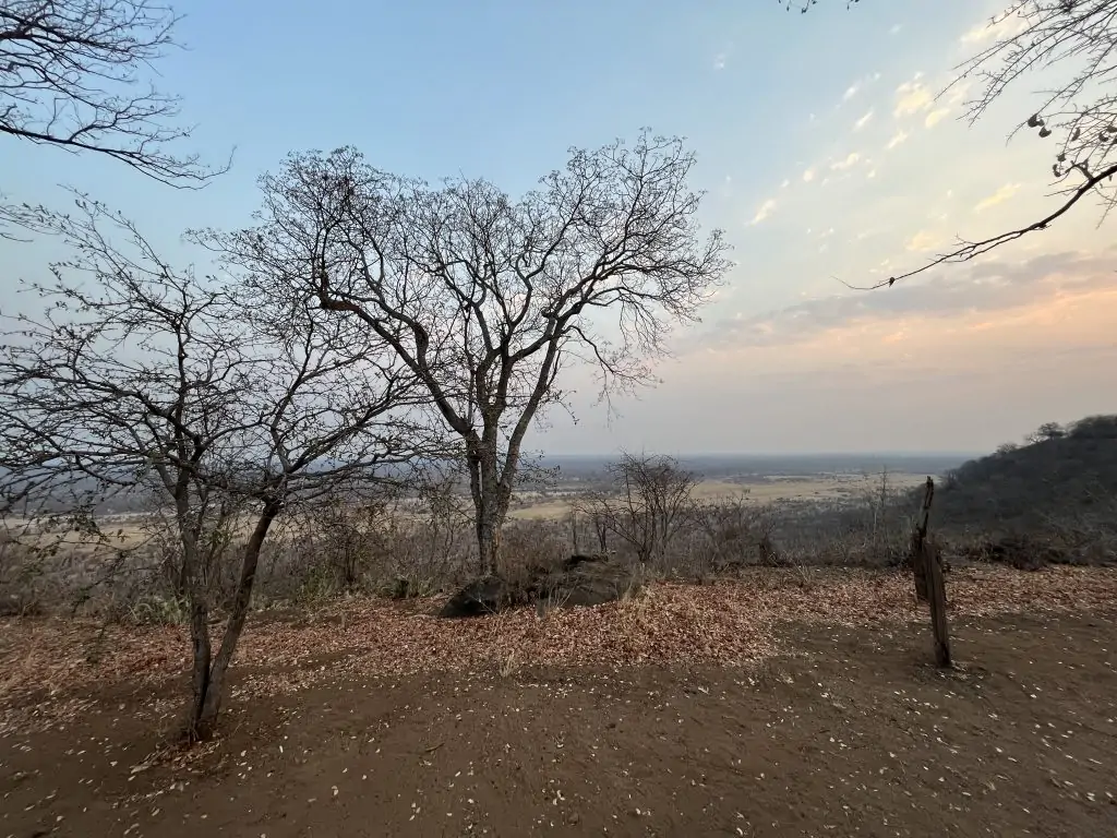 Sinamatella lors d'un safari à Hwange au Zimbabwe