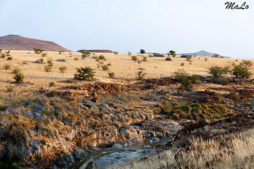 Paysage lors d'un safari à Okonjima en Namibie